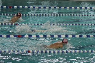 开云体育app入口-“世界游泳锦标赛：2025新加坡赛场泳池掀起速度与优雅的碰撞”