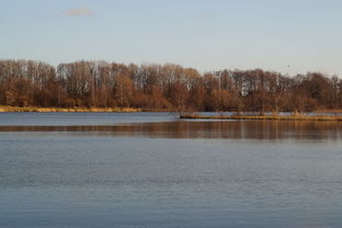 开云app-“东安湖体育公园迎来跑酷明星,挑战全新极限” 第2张